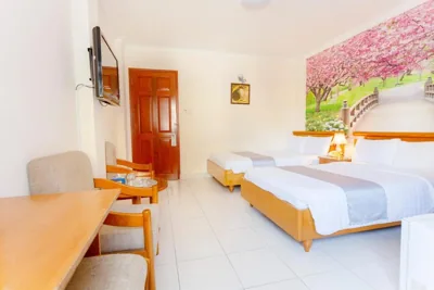Deluxe tweelingkamer — Giang Linh Hotel